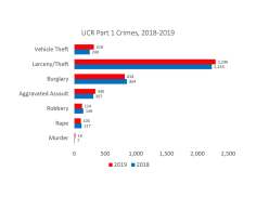 2018-2019 UCR Crime Stats